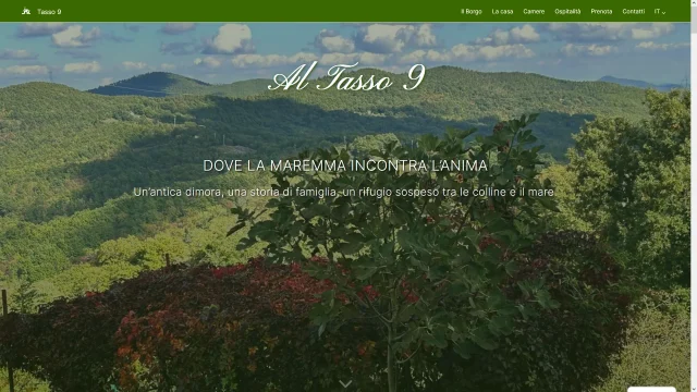 B&B Tasso 9